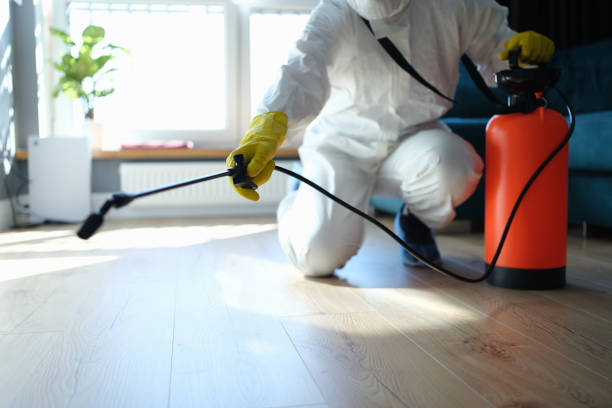 Trusted Sewage Cleanup service in Deerfield, MI - Four Month Blood Cleanse